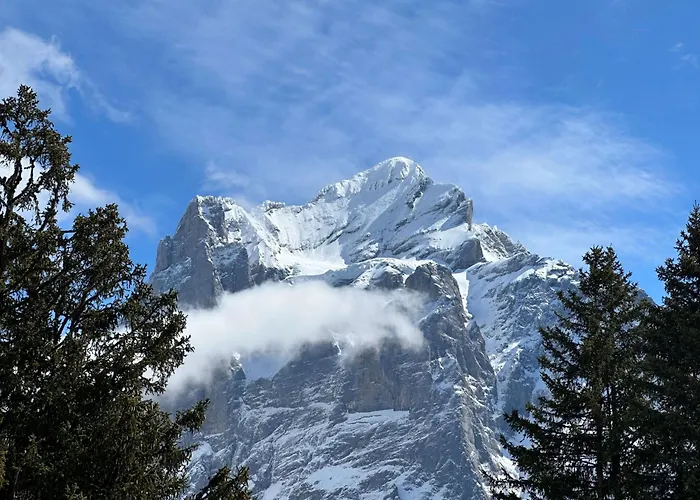 Appartement Eagle's Nest *